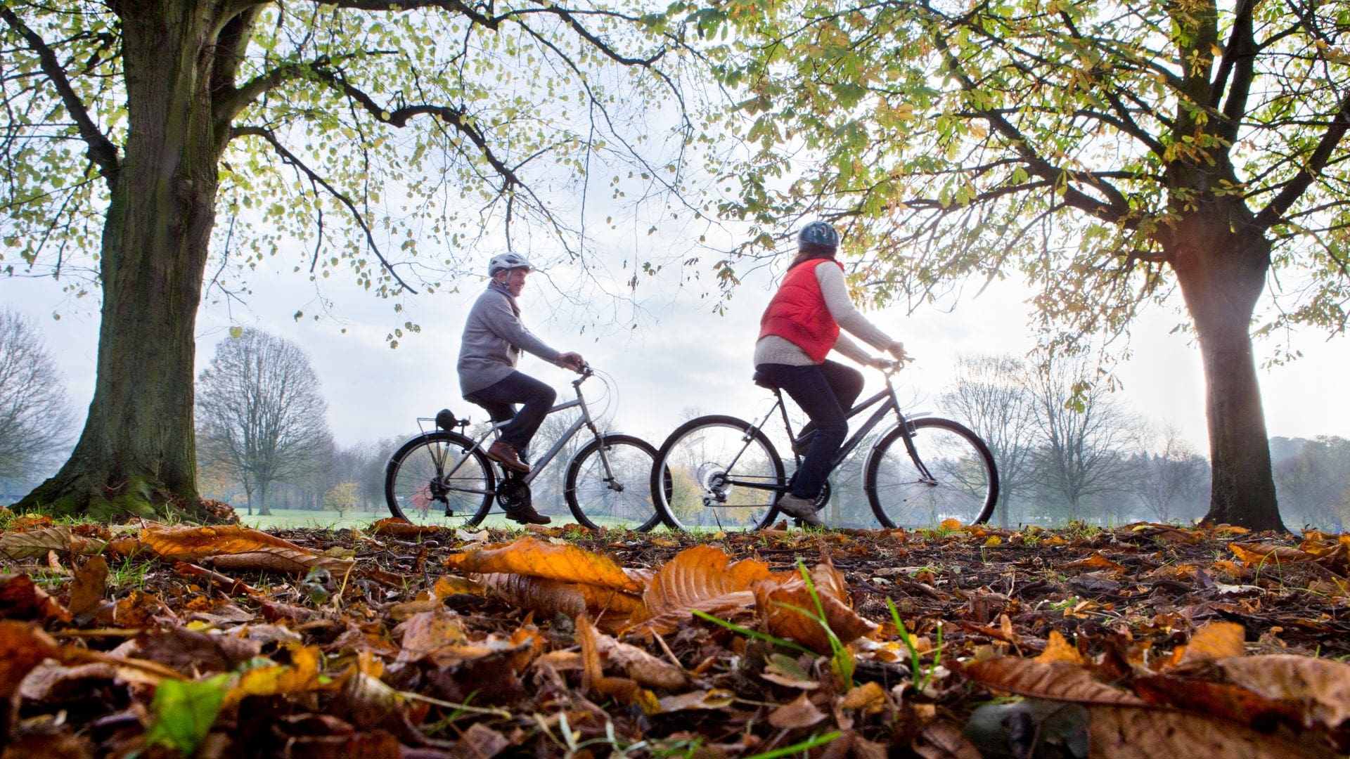 autunno-verona-min.jpg