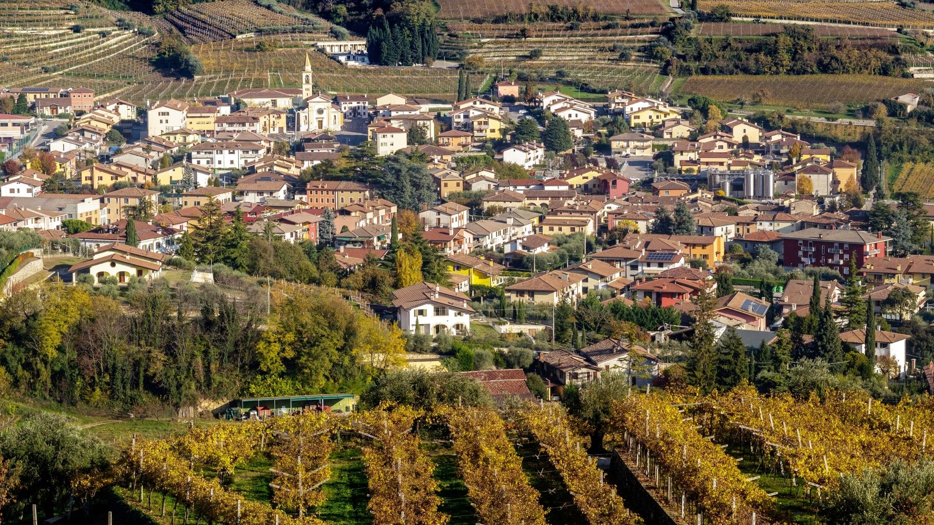 esplorare-la-valpolicella-min.jpg